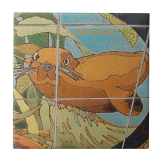 CARREAU CATALINA ISLAND CARRELAGE CÉRAMIQUE FACE DANS L'EA