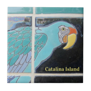 CARREAU CATALINA ISLAND CARRELAGE CÉRAMIQUE LE REGARD