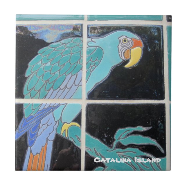 CARREAU CATALINA ISLAND CERAMIC TILE (Devant)