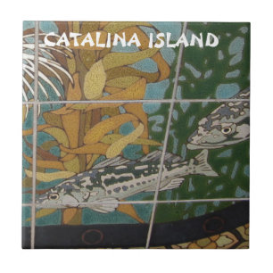 CARREAU CATALINA ISLAND CERAMIC TILE CATALINA VOYAGEURS