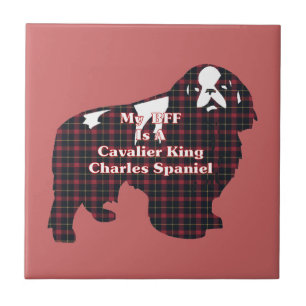 Carreau Cavalier King Charles Spaniel BFF