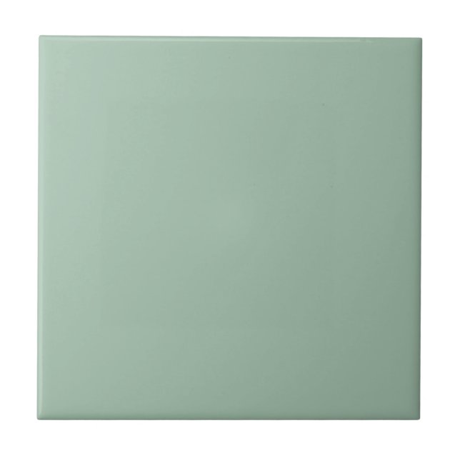 Carreau Céladon Vert Plaine Solide Couleur Carrelage en cé (Devant)