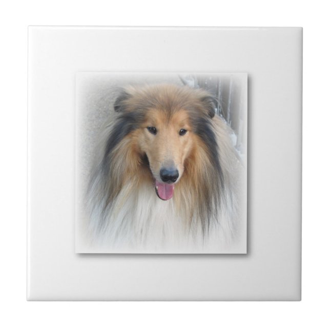 Carreau Ceramic Tile Dog (Devant)