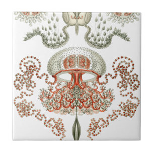 Carreau Céramique aquatique de méduses de ~ de Haeckel d
