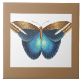 Carreau céramique avec papillon