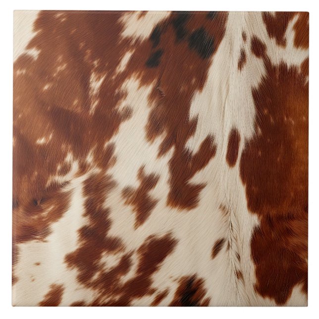 Carreau Céramique noire Brown Western Cream (Devant)