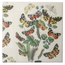 céramique tuile 6 pouces avec papillons