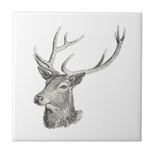 Carreau Cerf Buck Head avec Antlers Black and White Art