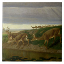Cerf sur la prairie (par William Holbrook Beard)