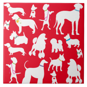 Carreau C'est une vie de chien