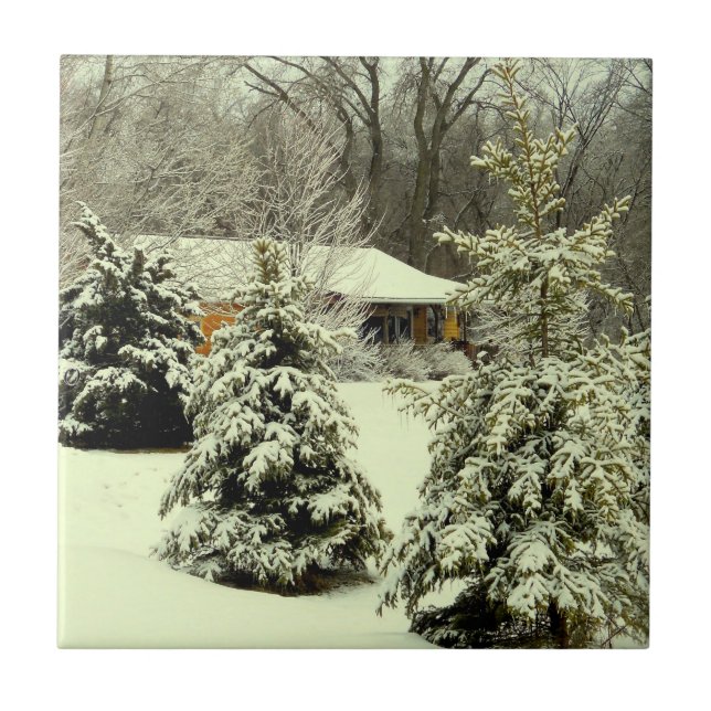 Carreau Chaleur d'hiver (Devant)