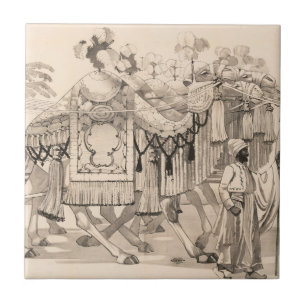 Carreau Chameaux Marchant Habillés En Costume