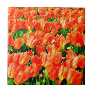 Carreau Champ orange de tulipes