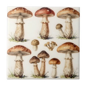 Carreau Champignons Botaniques Vintage Toadstool Fungi
