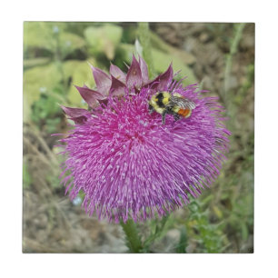 Carreau Chardon d'inclination de tête -