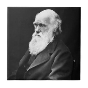 Carreau Charles Darwin Portrait