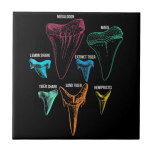 Carreau Chasse aux dents de requin - Cadeaux de requins fo