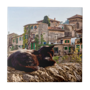 Carreau Chat bronzage sur un mur - Valldemossa, Majorque