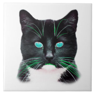 Carreau Chat cool aux yeux turquoise