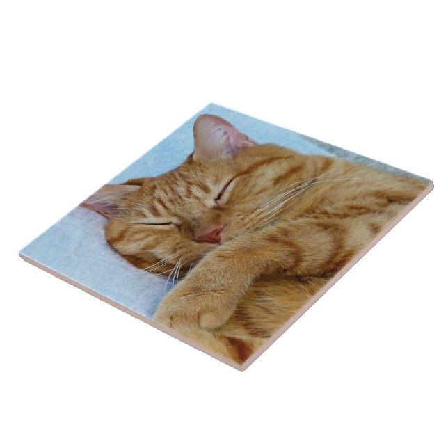 Carreau Chat couché (Côté)
