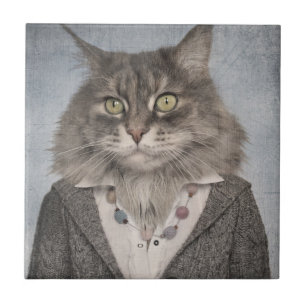 Carreau Chat dans des vêtements