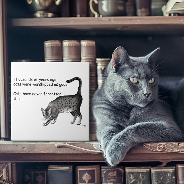 Carreau Chat égyptien Gris Tabby (Créateur téléchargé)