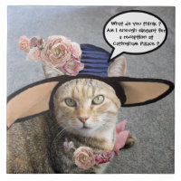 CHAT ÉLÉGANT AVEC CASQUETTE DIVA, ROSES ROSES ROSE