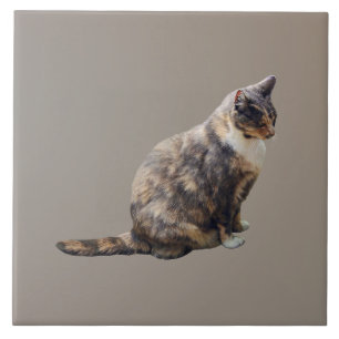 Carreau Chat tigré aux nuances de brun