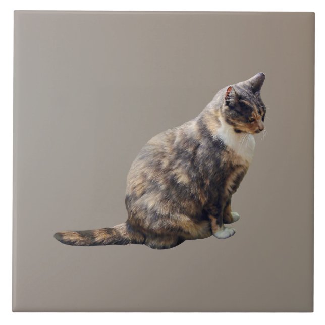 Carreau Chat tigré aux nuances de brun (Devant)