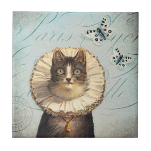 Carreau Chat vintage avec le collier et les papillons de