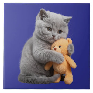 Carreau Chaton à air court britannique et ours en peluche 