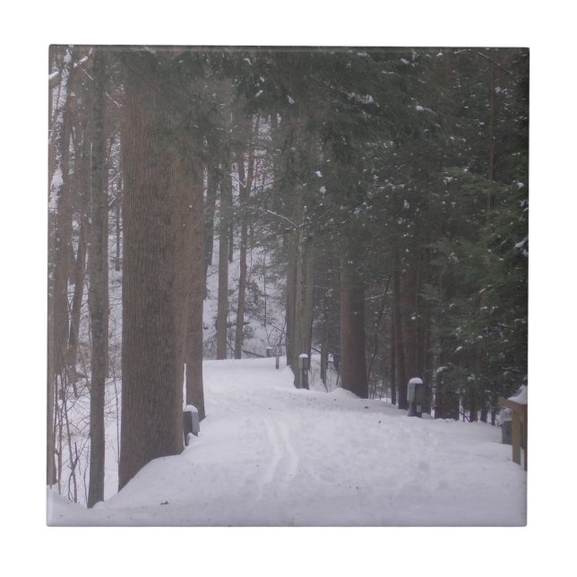 Carreau "Chemin d'hiver" (Devant)