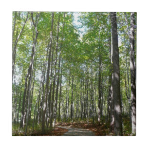 Carreau Chemin en bois centenaire II Ellicott City Marylan