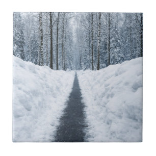 Carreau Chemin forestier hivernal brumeux Paysage d'hiver