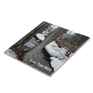 Carreau Chester Creek