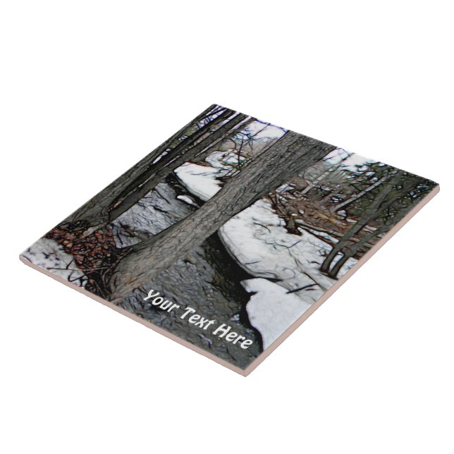 Carreau Chester Creek (Côté)