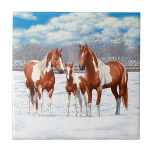 Carreau Chestnut Pinto Sorrel Peinture Quarter Chevaux Dan