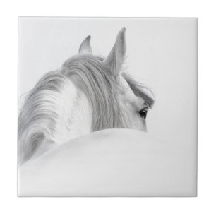 Carreau Cheval
