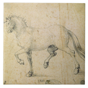 Carreau Cheval, 1503 (à l'encre sur le papier)