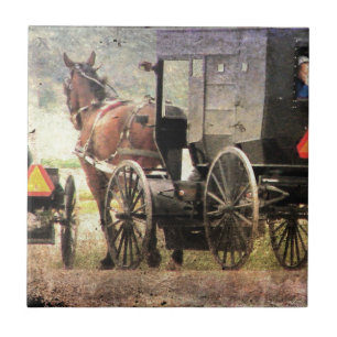 Carreau Cheval Amish et Buggy