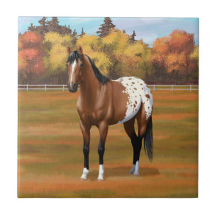 Carreau Cheval Appaloosa de la Baie Brown dans les pâturag