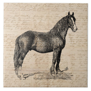 Carreau Cheval avec papier de script