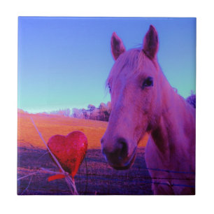 Carreau Cheval Brown et Coeur Rouge