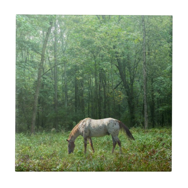 Carreau Cheval dans le pré (Devant)