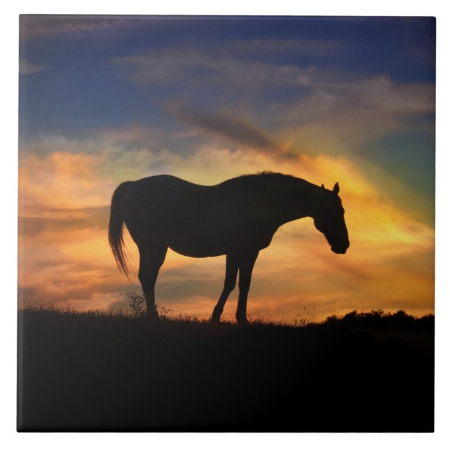 Carreau Cheval dans Southwestern Sunrise Art (Devant)