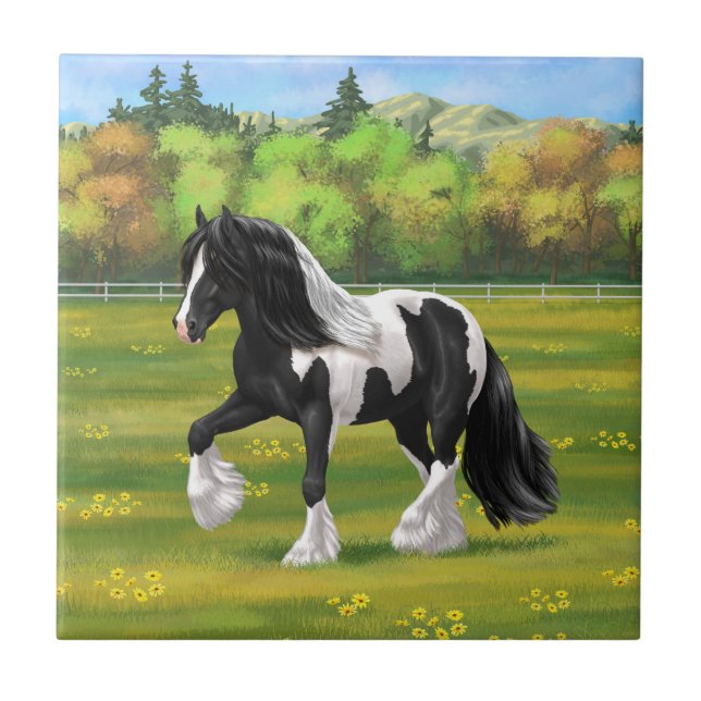 Carreau Cheval d'attelage de la bandelette tzigane noire d (Devant)