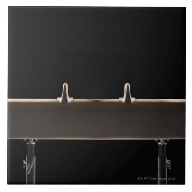 Carreau Cheval de pommeau (Devant)