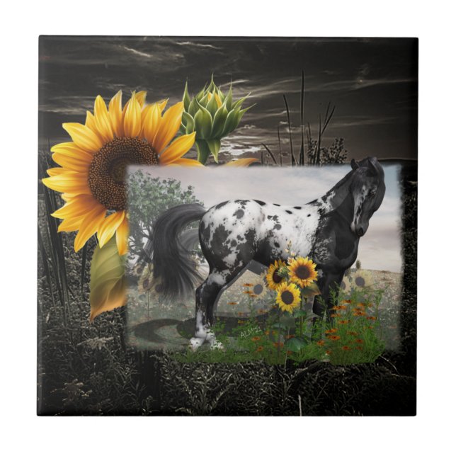 Carreau Cheval des tournesols et Appaloosa (Devant)