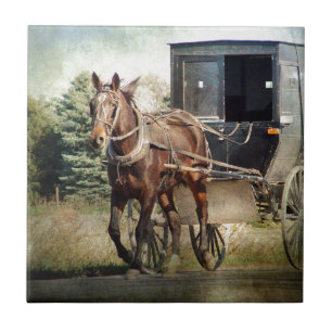 Carreau Cheval et Buggy en Iowa rural