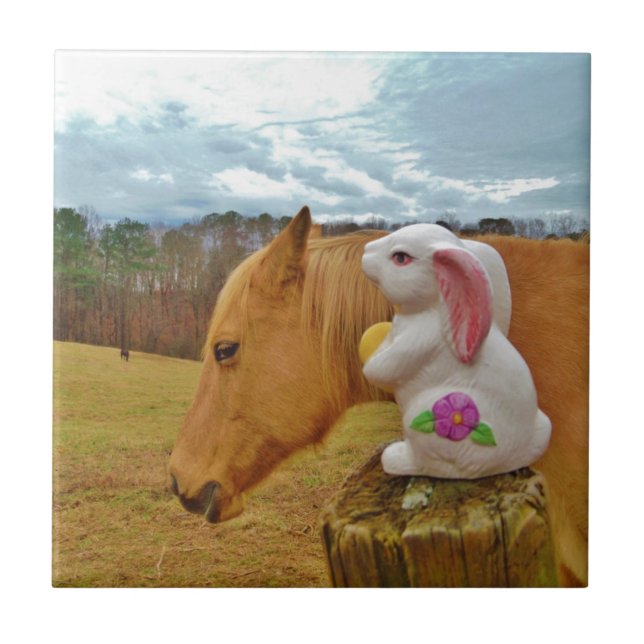 Carreau Cheval Jaune, Lapin De Printemps (Devant)